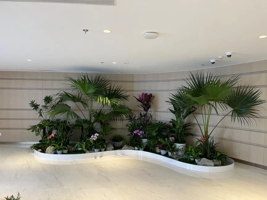 北仑绿化养护专业